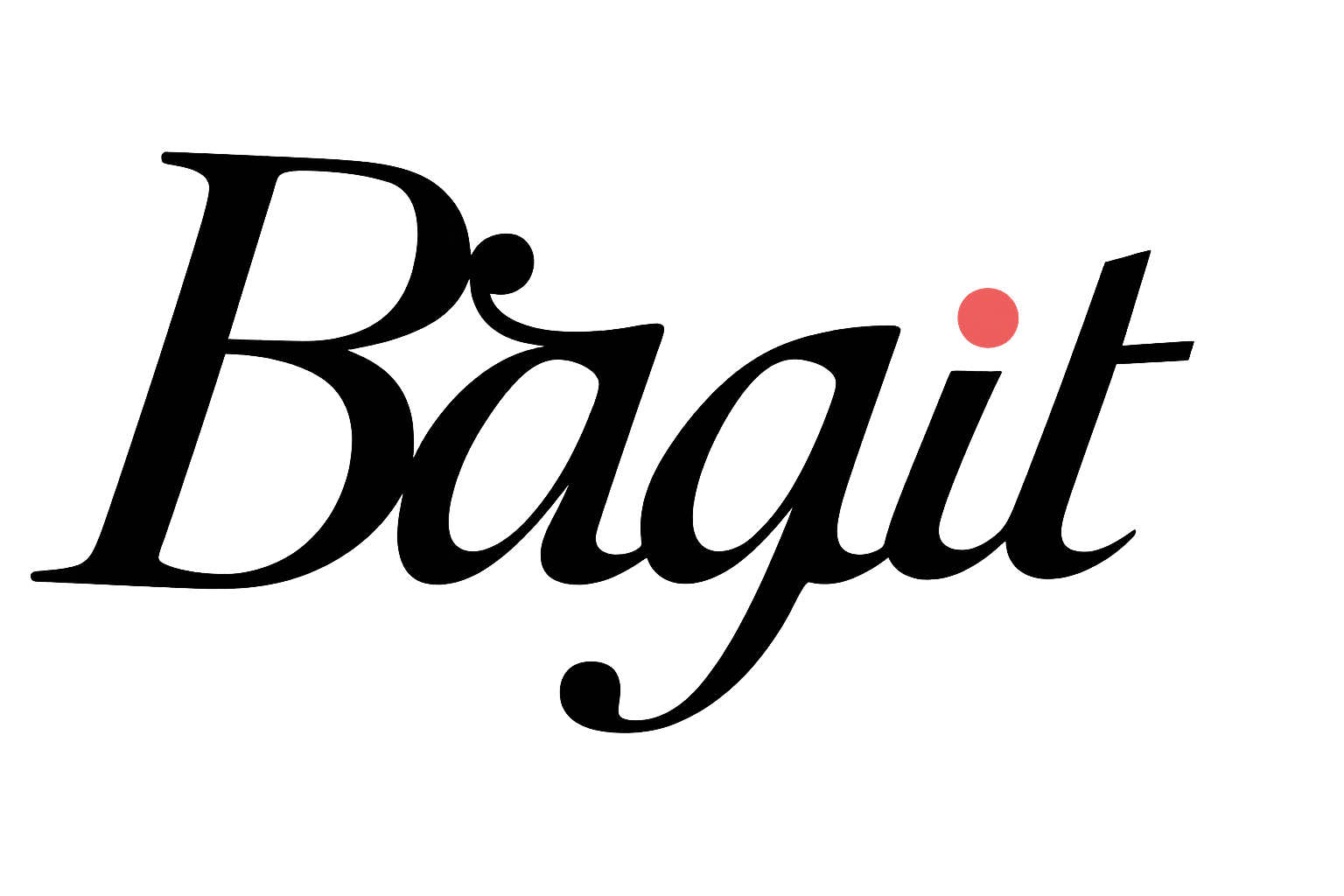 Bagit Logo